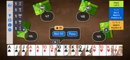 Game screenshot 5-Handed Pinochle mod apk