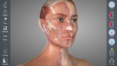 Essential Anatomy 4 screenshot 2