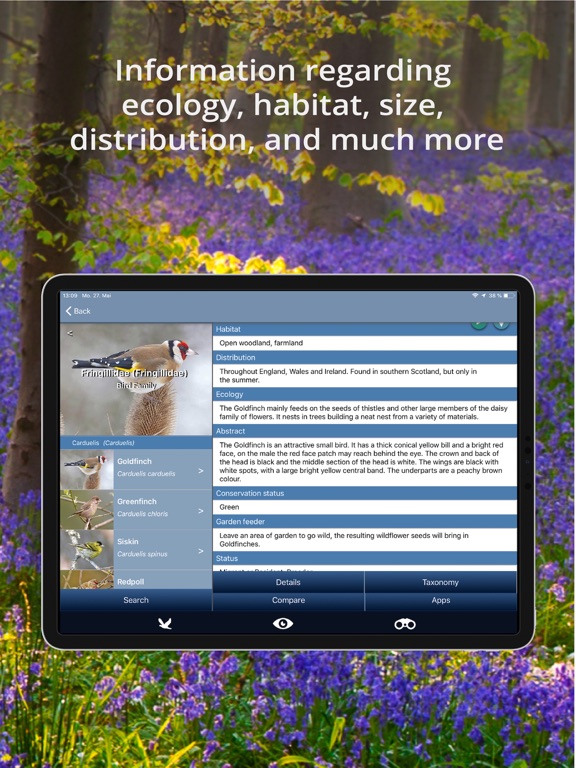 Bird Id - British Isles birds iPad screenshot 6 - Reference app