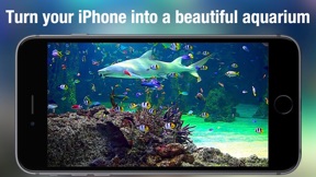 Aquarium Live - Real Fish Tank screenshot