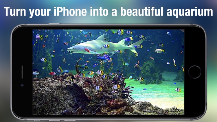 Aquarium Live - Real Fish Tank