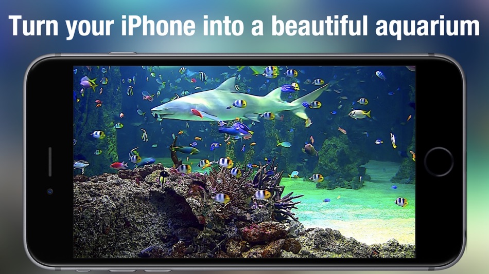 Aquarium Live - Real Fish Tank - 4.0.0 - (iOS)