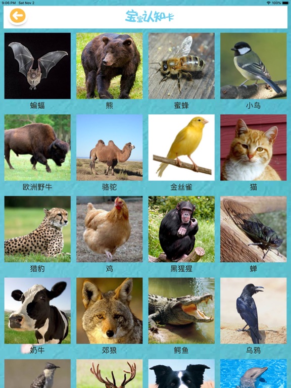 Screenshot #6 pour 三字经国学经典-百家姓、千字文儿童启蒙入门课