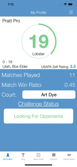 Game screenshot Pickleball Gamer mod apk