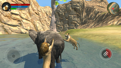 Wild Lion Survival Simulator Screenshot