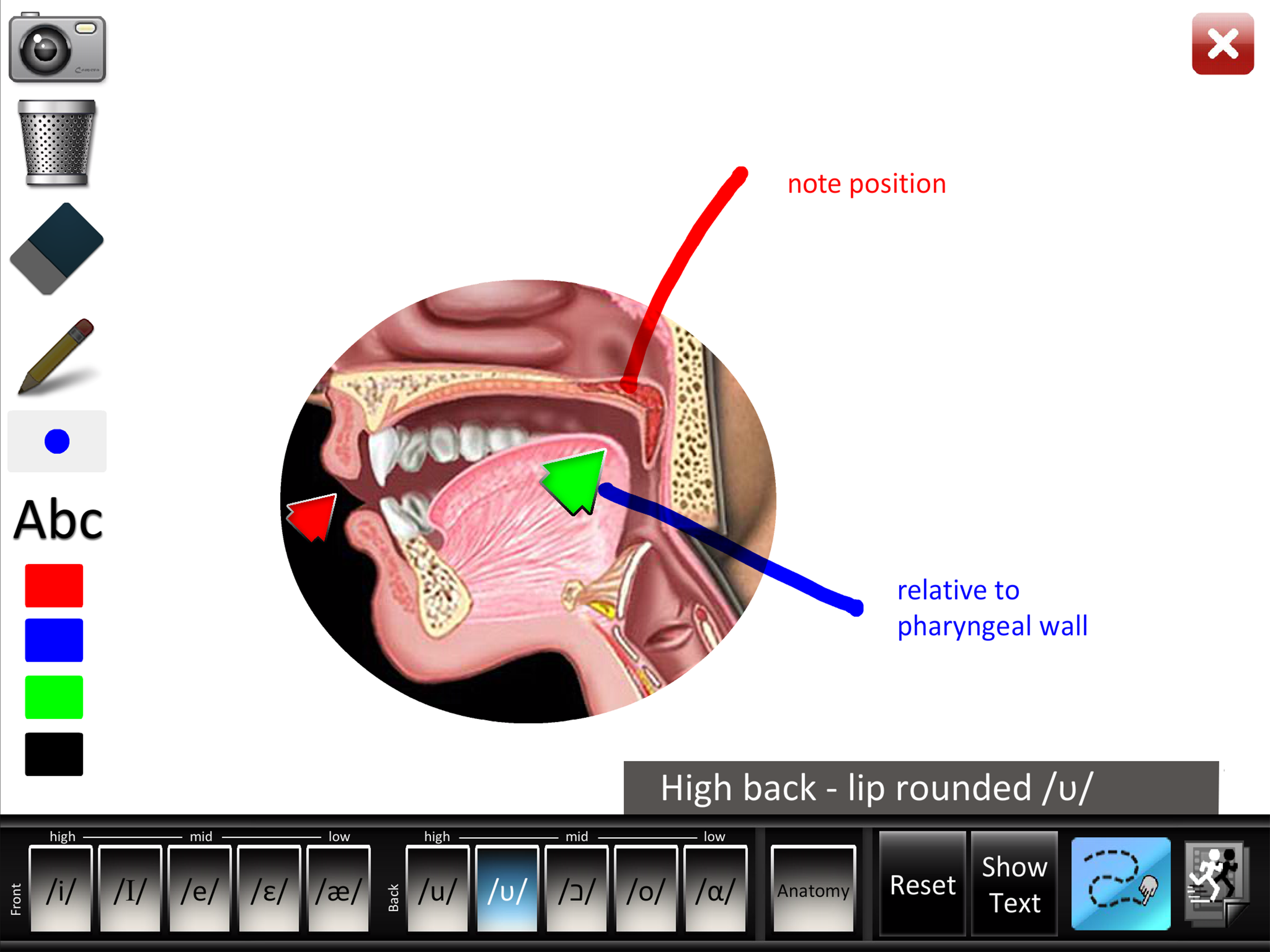 Vowels Front Back screenshot 10