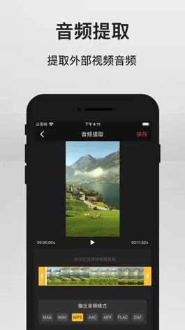 Game screenshot VoiceExporter apk