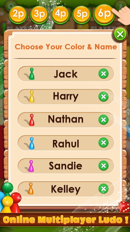 Ludo Play The Dice Game