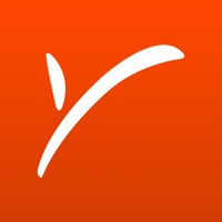 Payoneer messages.notwork