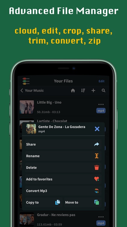 FoxFM - Offline Video Player