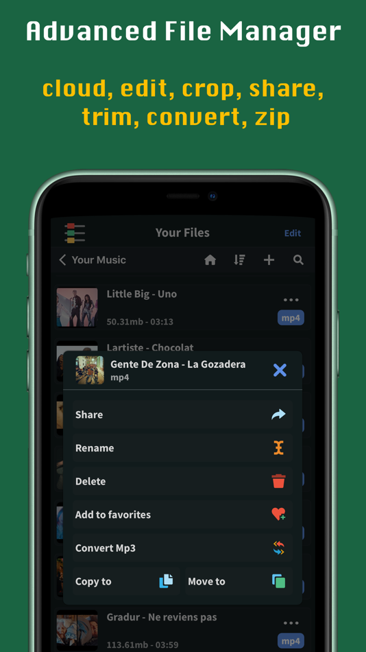 #3. FoxFM - Offline Video Player (iOS) By: Erdem Erciyas