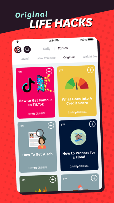 CatchUp - Bite-Sized Summaries Screenshot