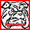 Nonogram 6 icon