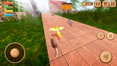 Home Pet Parrot Simulator screenshot 4