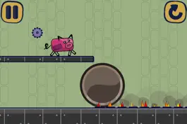 Game screenshot Run Pig Run!! hack