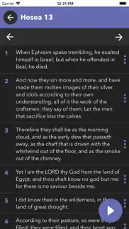 bible in spanish iphone images 3