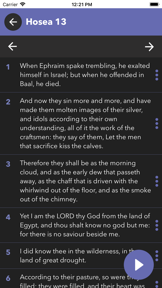Bible in Spanish screenshot