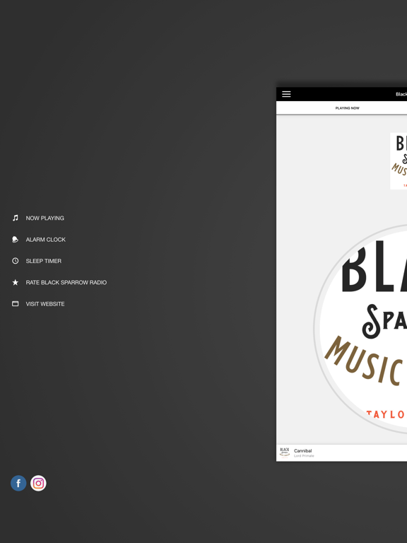 Screenshot #6 pour Black Sparrow Radio