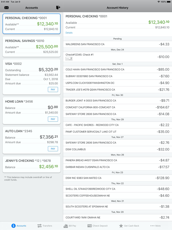 Needham Bank Mobile Banking iPad screenshot 4 - Finance app