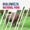 Bialowieza National Park Guide icon