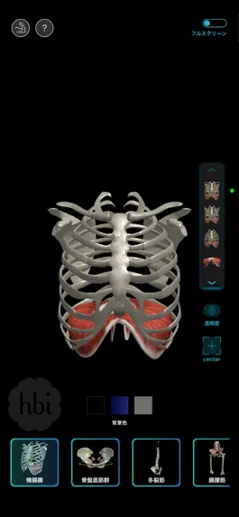 Game screenshot 美の三大アーチ　オリジナルAnatomy hack