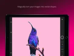 Adobe Capture: Illustrator, Ps iPad image 2