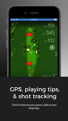 Game screenshot The Oasis Golf Club hack
