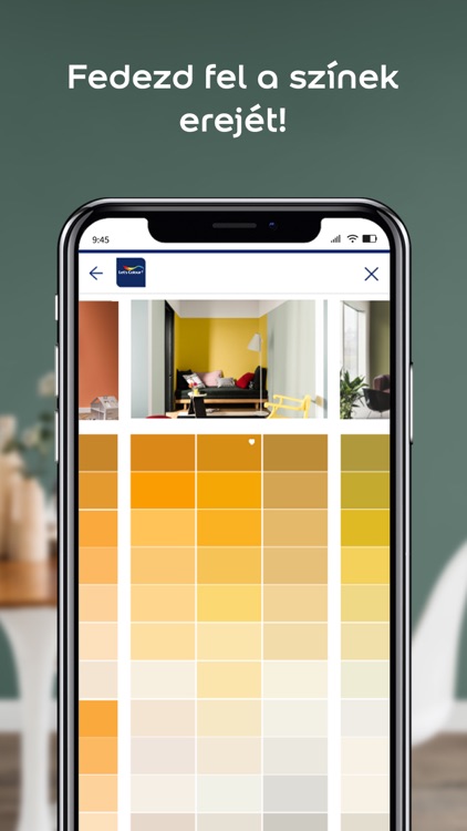 Dulux Visualizer HU