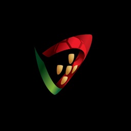 Resultados Andebol Portugal By Federacao De Andebol De Portugal