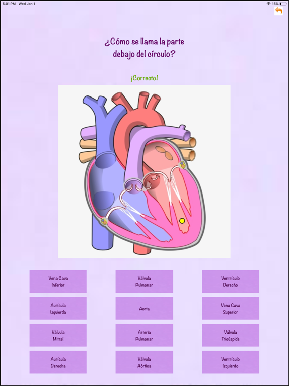 Genio de Anatomía iPad screenshot 3 - Education app