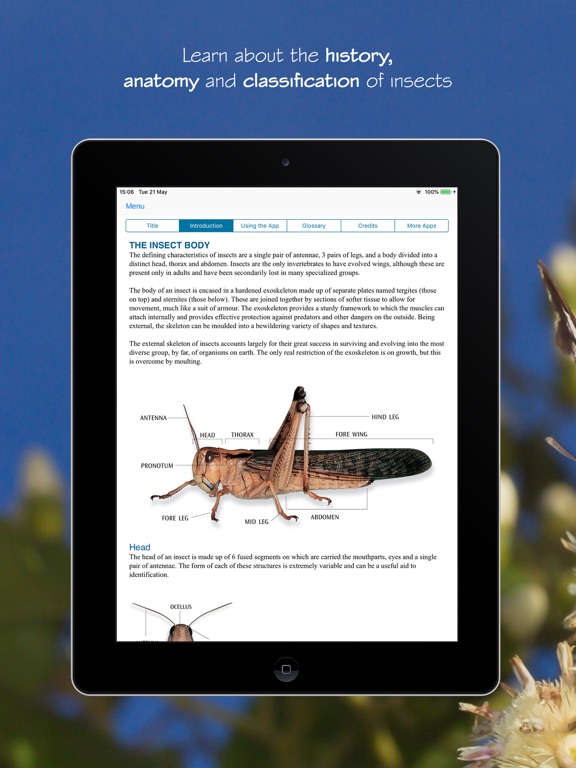 eInsects of South Africa iPad screenshot 5 - Reference app