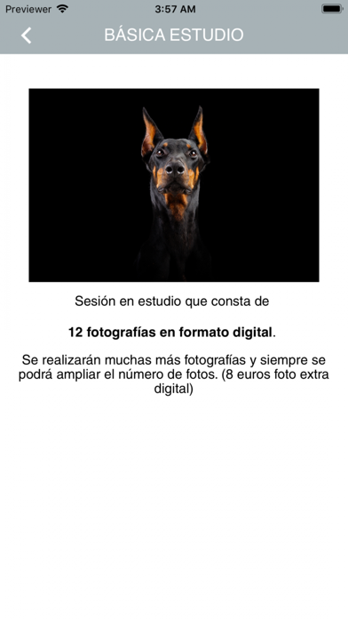 El fotógrafo de perros screenshot 4