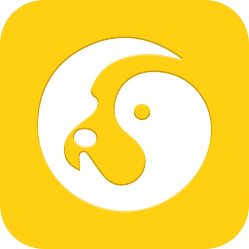 Pet training-Regular learning