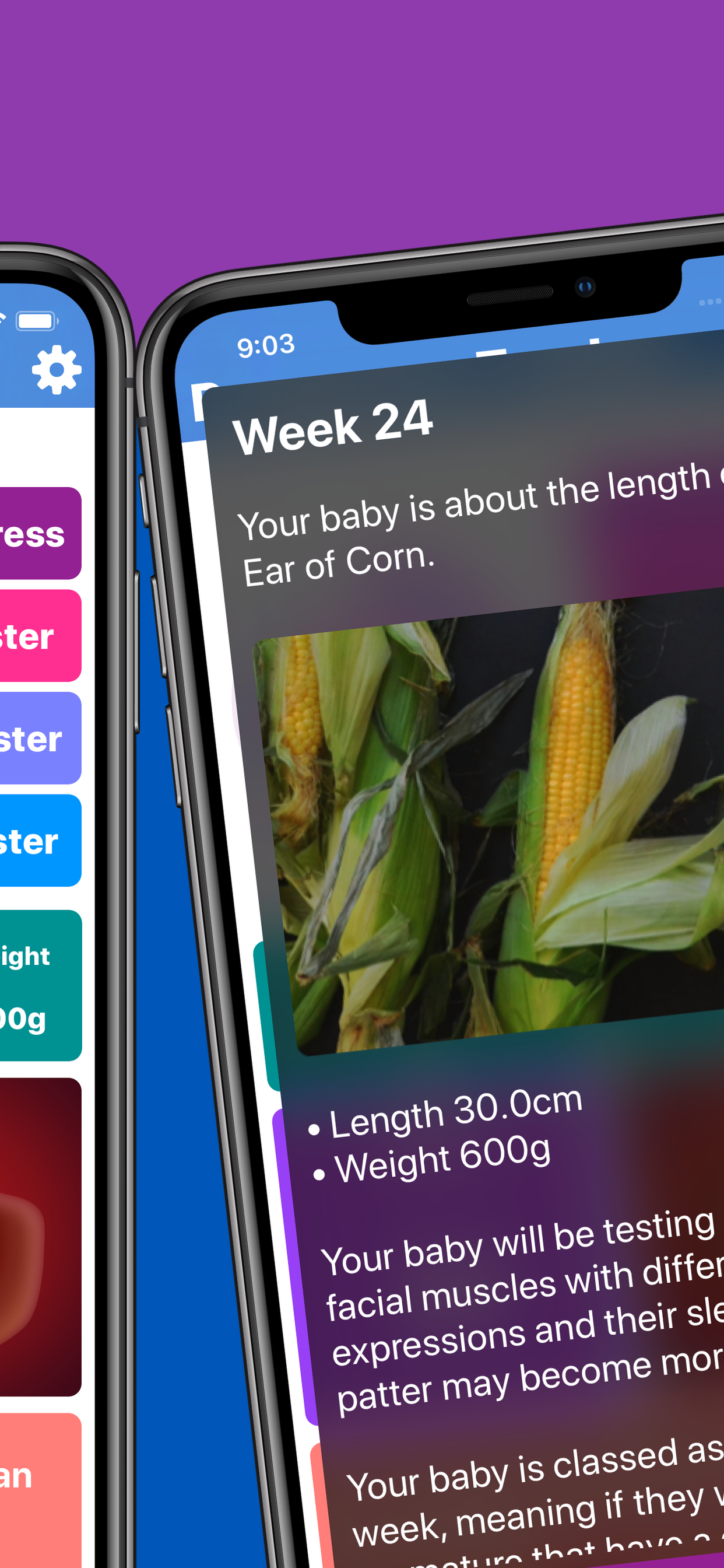 Pregnancy Tracker Your Journey