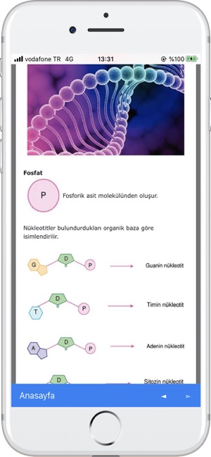 Yetinek(圖7)-速報App