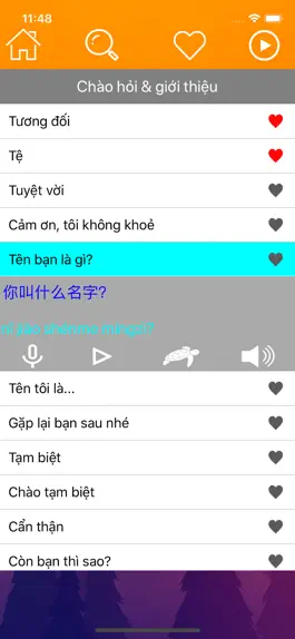 Game screenshot Học Tiếng Trung Giao Tiếp HSK hack