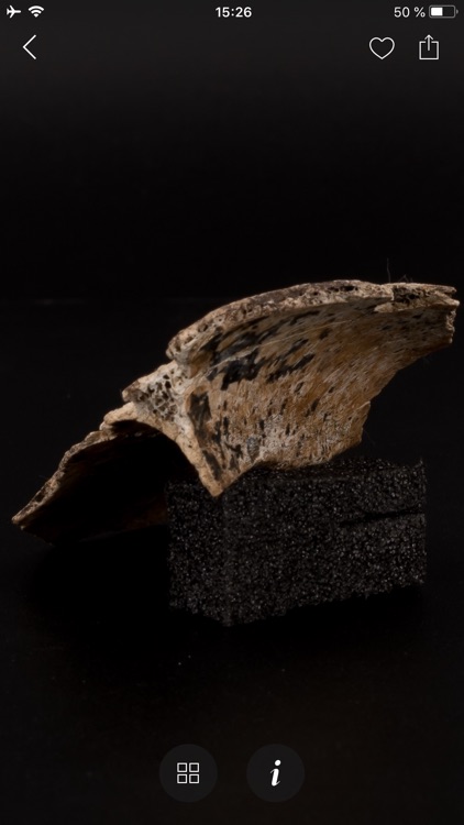 SC Museo de Altamira screenshot-3