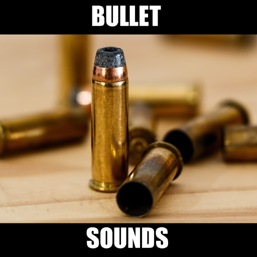 Bullet Sounds and Gun Sounds.