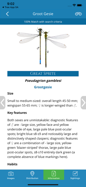 Dragonfly SA(圖6)-速報App