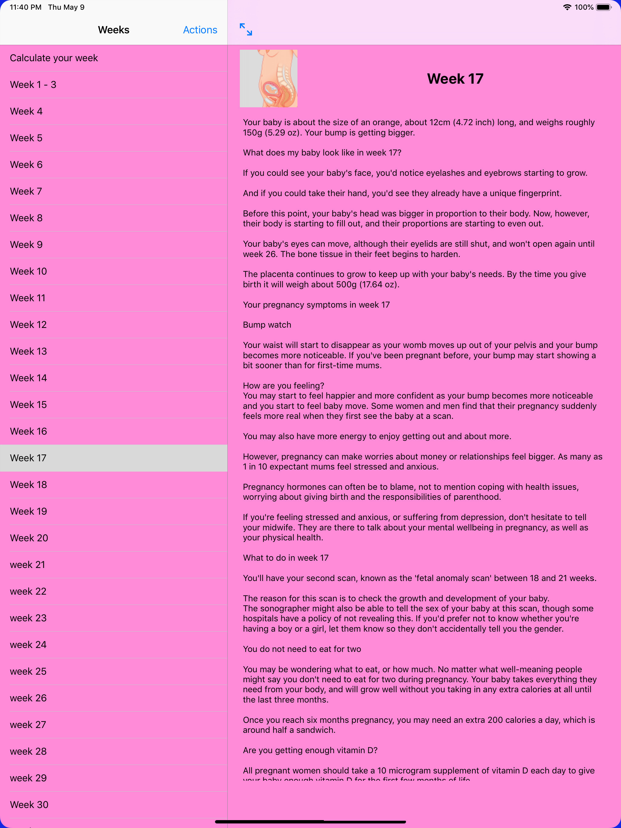 Pregnancy Info Week by Week