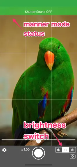 Game screenshot Capera  (HD camera) apk