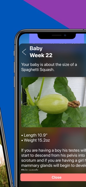 Pregnancy Today - Baby Tracker(圖2)-速報App