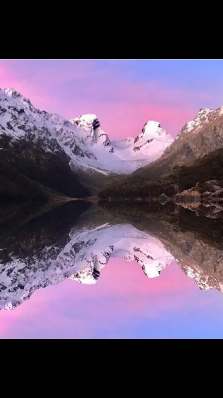 Mirror Flipper