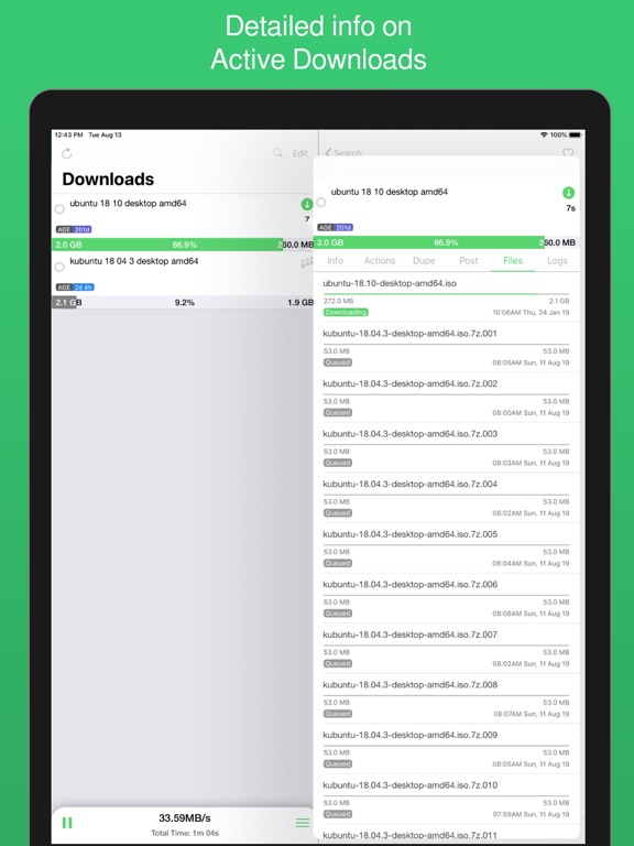 NZBClient for NZBGet iPad screenshot 6 - Utilities app