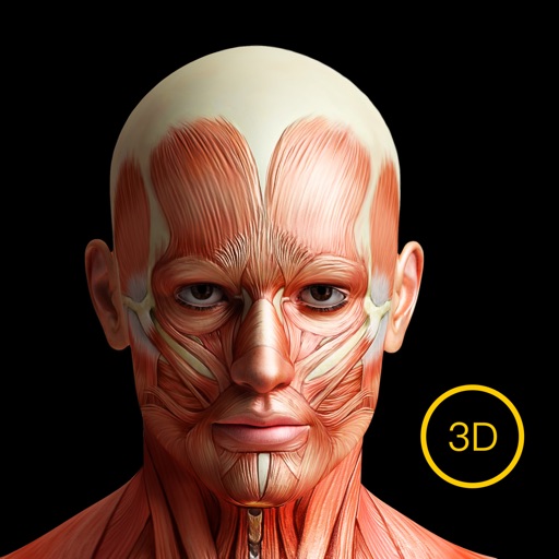 3d人体解剖学-三维运动解剖&经络穴位 Icon