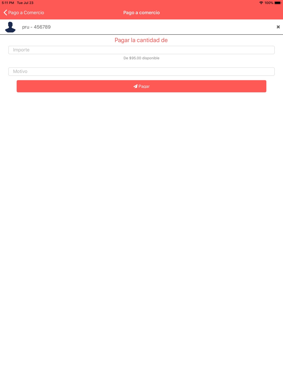 iPad screenshot