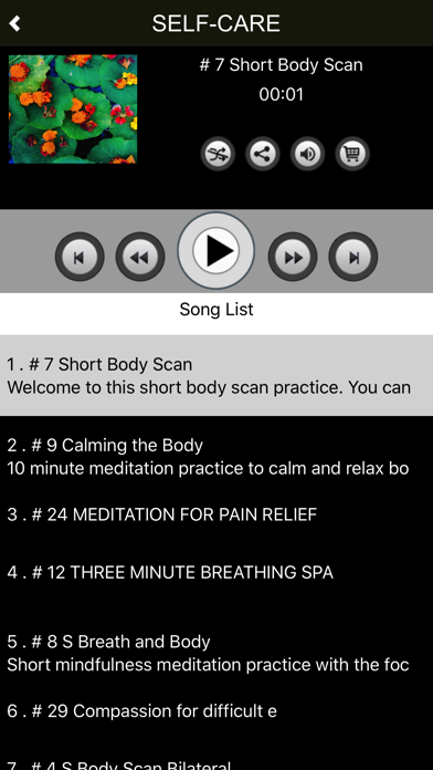 Stress Less with CDS screenshot 4