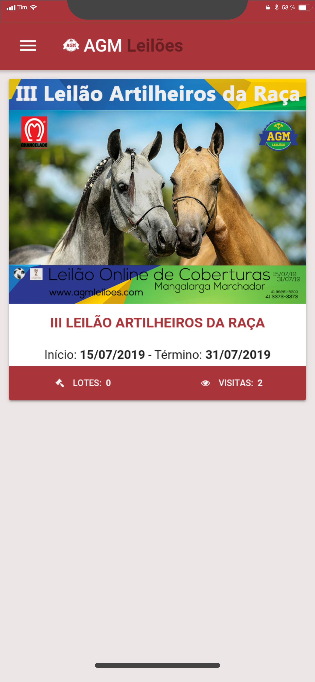 AGM Leilões