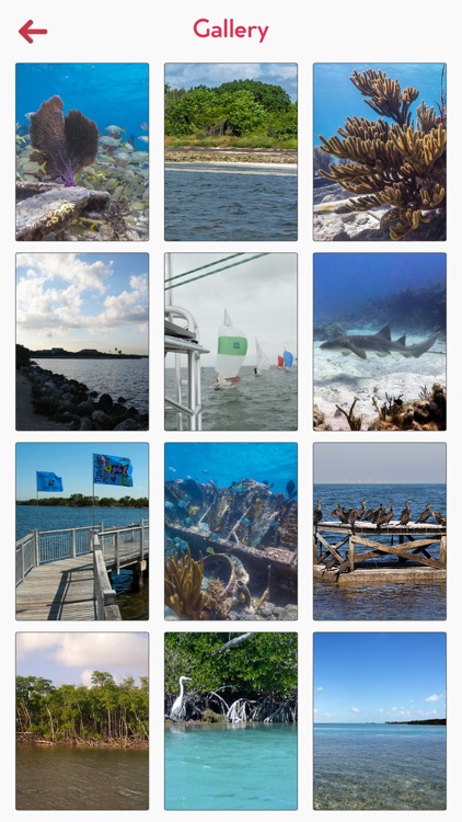 Biscayne National Park Tourism screenshot-3
