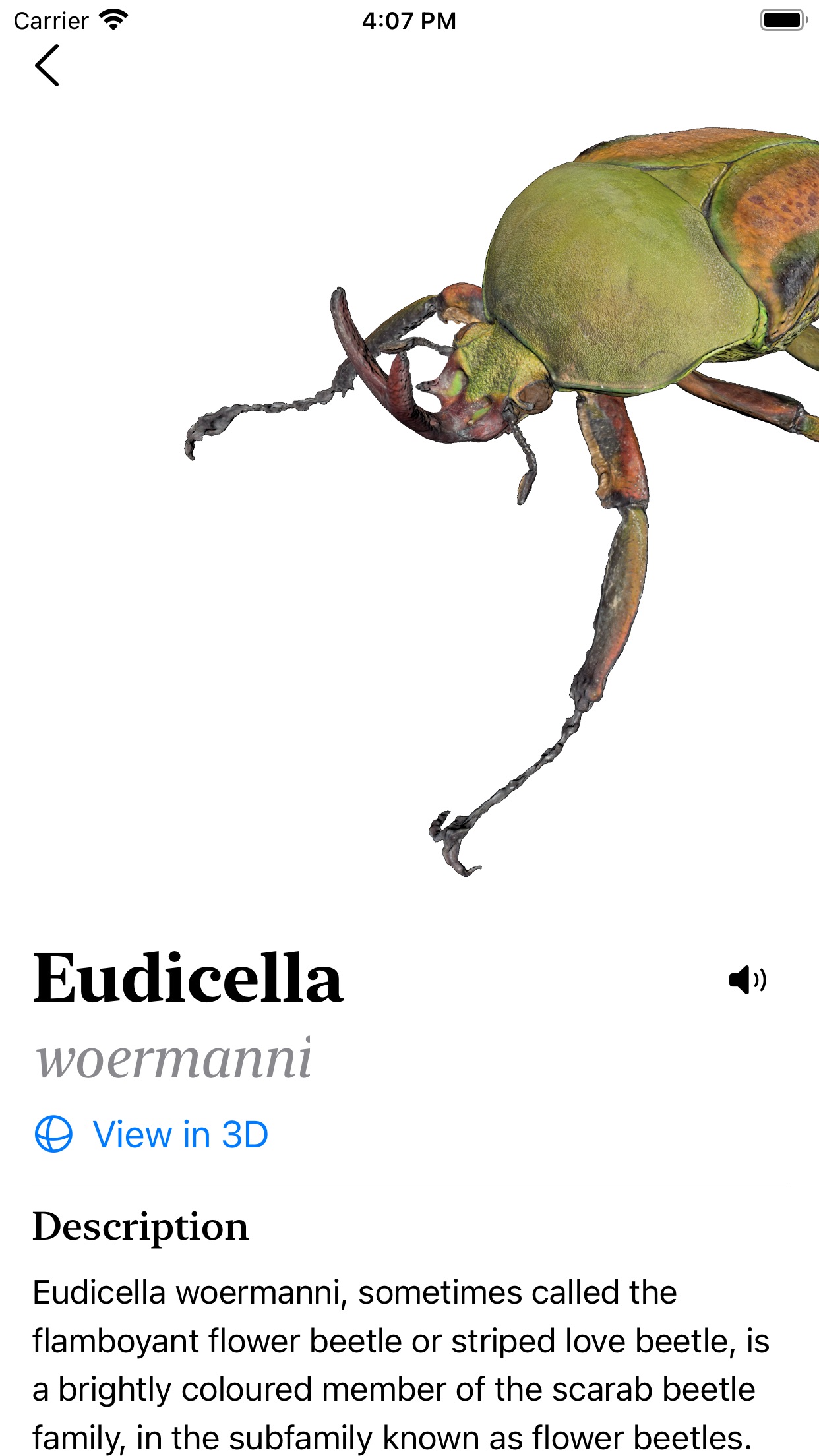 Screenshot do app Insecta - Study Insects in AR